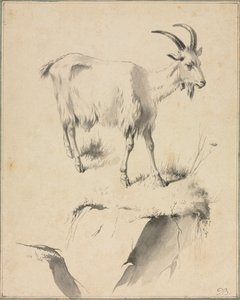 Keçi Çalışması by Jean Jacques de Boissieu