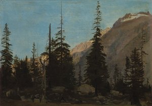 Alp Manzarası: Handegg, İsviçre, 1850