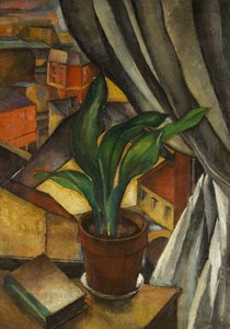 Aspidistra, 1912 dolayları (tuval üzerine yağlı boya)