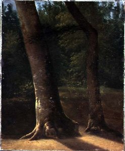 Ağaçların İncelenmesi, c.1815 (kağıt üzerine yağlı boya) by Jean Victor (attr. to) Bertin