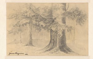 Ağaçlar ile manzara by Jeanne Marie Heynsius (signed by artist)