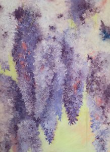 Wisteria çiçekleri, 2023 (kağıt üzerine pastel)