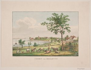 Bellevue