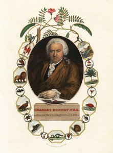 Charles Bonnet