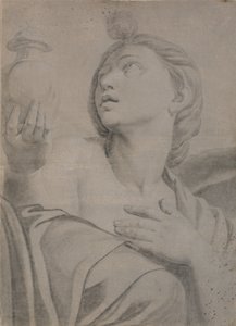 Venus Persephone