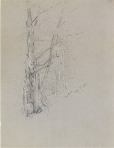 Kuru Brook, 1888.