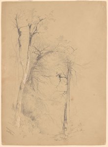 kauterskill karanfil by Jervis McEntee