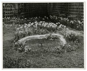 Mr & Mrs Wm H Wells 265 W 11th St, New York, ABD Bahçesi by Jessie Tarbox Beals