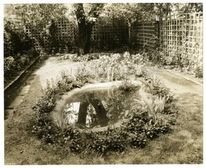 Garden of Mrs WH Wells 265 W 11th, Greenwich Village, New York, ABD, c.1936-37 (jelatin gümüşü fotoğraf) by Jessie Tarbox Beals