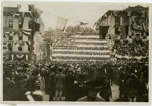 Newburgh: Yaşayan bayrak by Jessie Tarbox Beals