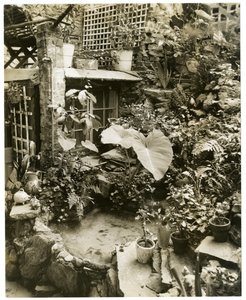 Havuz gösteren teras George ve Mary Stonehill'in Evi, Greenwich Village, New York, ABD, c.1936-37 (jelatin gümüşü fotoğraf) by Jessie Tarbox Beals