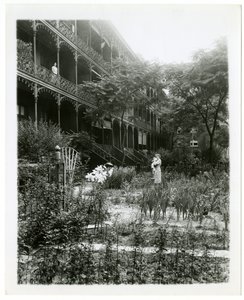 Rhinelander House bahçeleri, W 11th St , Greenwich Village, New York, ABD, c.1905-38 (jelatin gümüşü fotoğraf) by Jessie Tarbox Beals