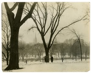 The Common, Boston, ABD, c.1902-10 (jelatin gümüşü fotoğraf) by Jessie Tarbox Beals
