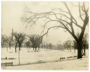 The Common, Boston, USA, c.1902-10 (gelatin silver photo) by Jessie Tarbox Beals