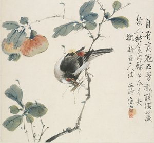 Çekirge yiyen Çinli bir Hwamei, 1857