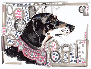 Lacey The Dachshund, 2013, (kalem, kağıt üzerine mürekkep)