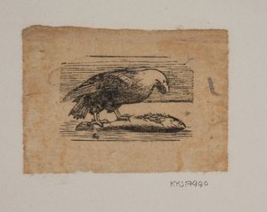 Bir kartal by Joakim Frederik Skovgaard