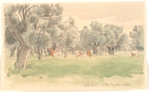 Zeytin ağaçları ve otlayan kırmızı benekli sığırlarla dolu Yunan manzarası by Joakim Frederik Skovgaard