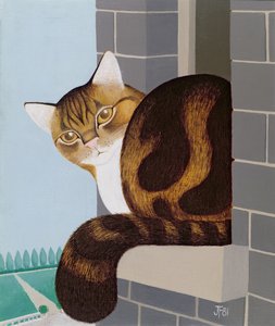 Pencere pervazındaki kedi