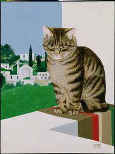 Penceredeki tekir kedi