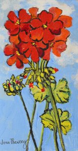 Sardunya Sprey,2017, (akrilik) by Joan Thewsey