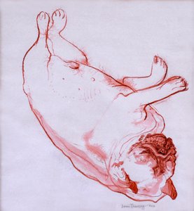 Hogarth Sleeping, 2005, (ıslak kağıt üzerine mürekkep) by Joan Thewsey