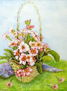 Paisley Eşarplı Çiçek Sepetinde Pembe Primrose,2010,suluboya by Joan Thewsey