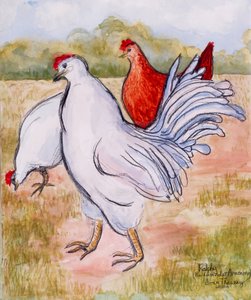 Ralfy, The Cockerel ,2005,(kurşun kalem ve sulu boya) by Joan Thewsey