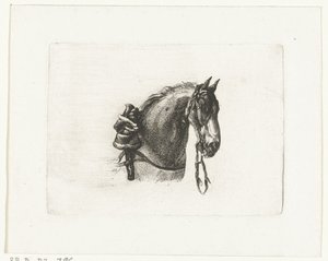 Sağdaki at başı Dirk Langendijk