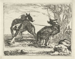 İki köpek Köpekler (dizi başlığı)