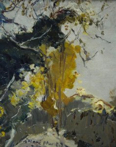 Baum by Joaquim Mir i Trinxet