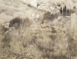 Maspujoller by Joaquim Mir i Trinxet