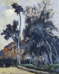 Miravet by Joaquim Mir i Trinxet