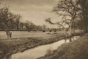 Beverley Brook