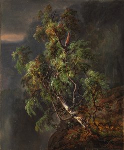  by Johan Christian Dahl