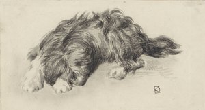 Uyuyan köpek
