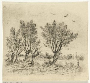 söğüt sırası by Johan Frederik Croockewit