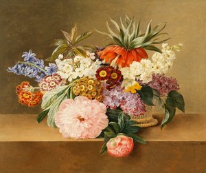 Sepette İris, Leylak, Primulae, Blossom ve Peonies,