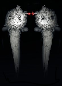 Kardeşler, 2013 (fotoğraf) by Johan Lilja