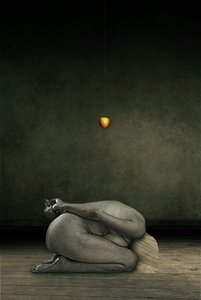 Kendimi sakla, 2013 (fotoğraf manipülasyonu) by Johan Lilja