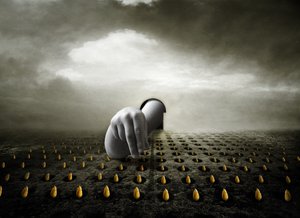 Lale hırsızı, 2013 (fotoğraf) by Johan Lilja