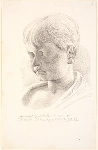Britannicus kafa. 3/4 profil sola by Johan Thomas Lundbye