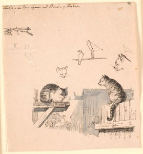 İki kedi. F.o. kedi kafaları, kuş, kedi kulağı ve kiriş çalışmaları. Kaalund