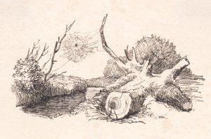 örümcekler by Johan Thomas Lundbye