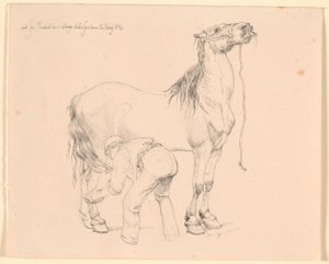 Bir at tımar edilir by Johan Thomas Lundbye