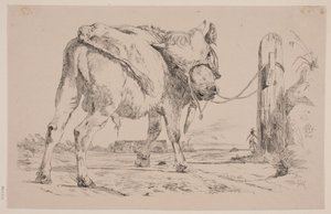 Ortak bir direğe bağlı bir boğa buzağı by Johan Thomas Lundbye