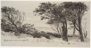 Rüzgarlı ağaçlar. hava yüksek by Johan Thomas Lundbye