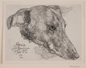 Köpek Kafası, Keskin Nişancı by Johan Thomas Lundbye