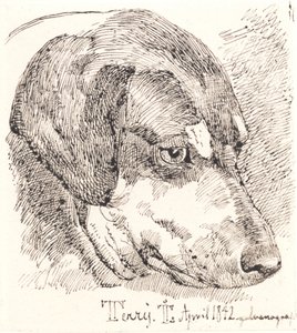Hundehoved, Terry by Johan Thomas Lundbye