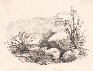 sızıntı yapan kedi by Johan Thomas Lundbye